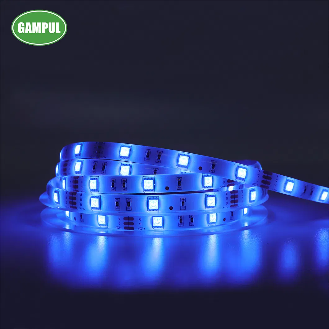 LED Strip Light 5