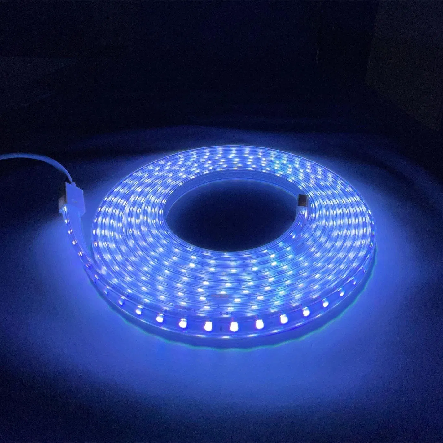 High Voltage Strip SMD5050RGB 60d LED Strip Light