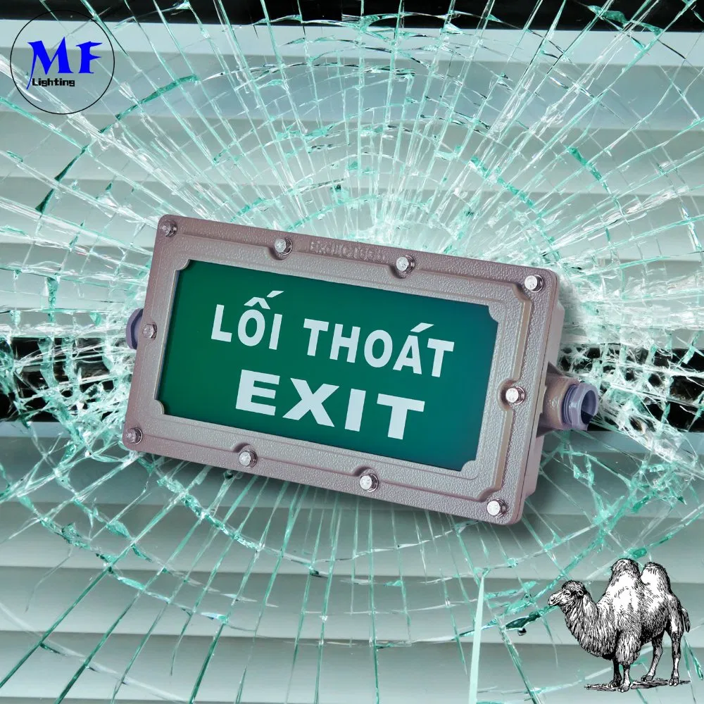 Explosion Proof Exit Light