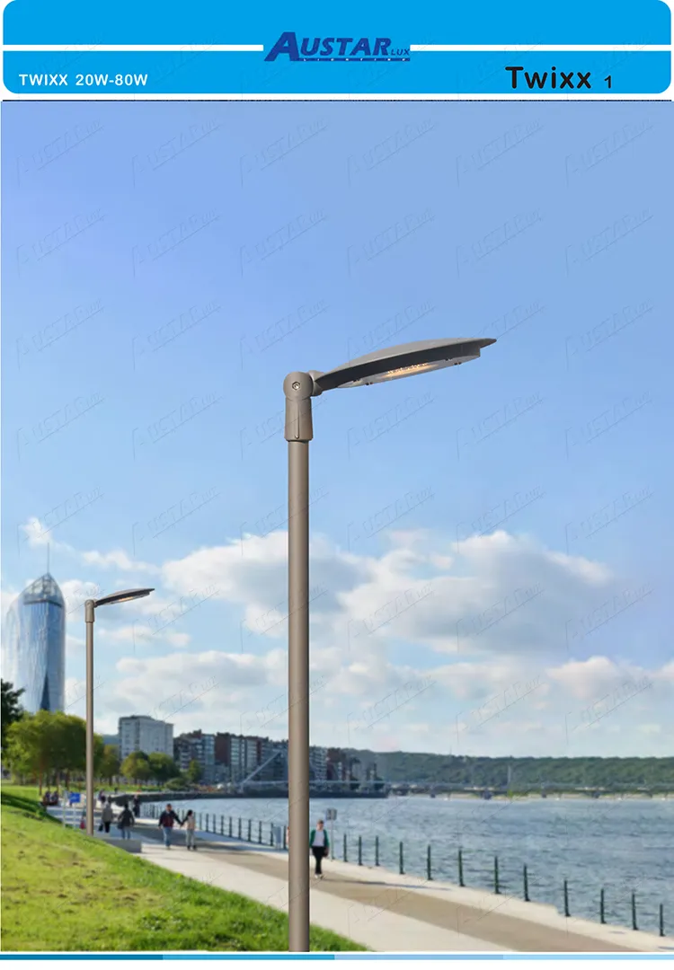 LED Area Lighting Twixx Outdoor Luminaria 5