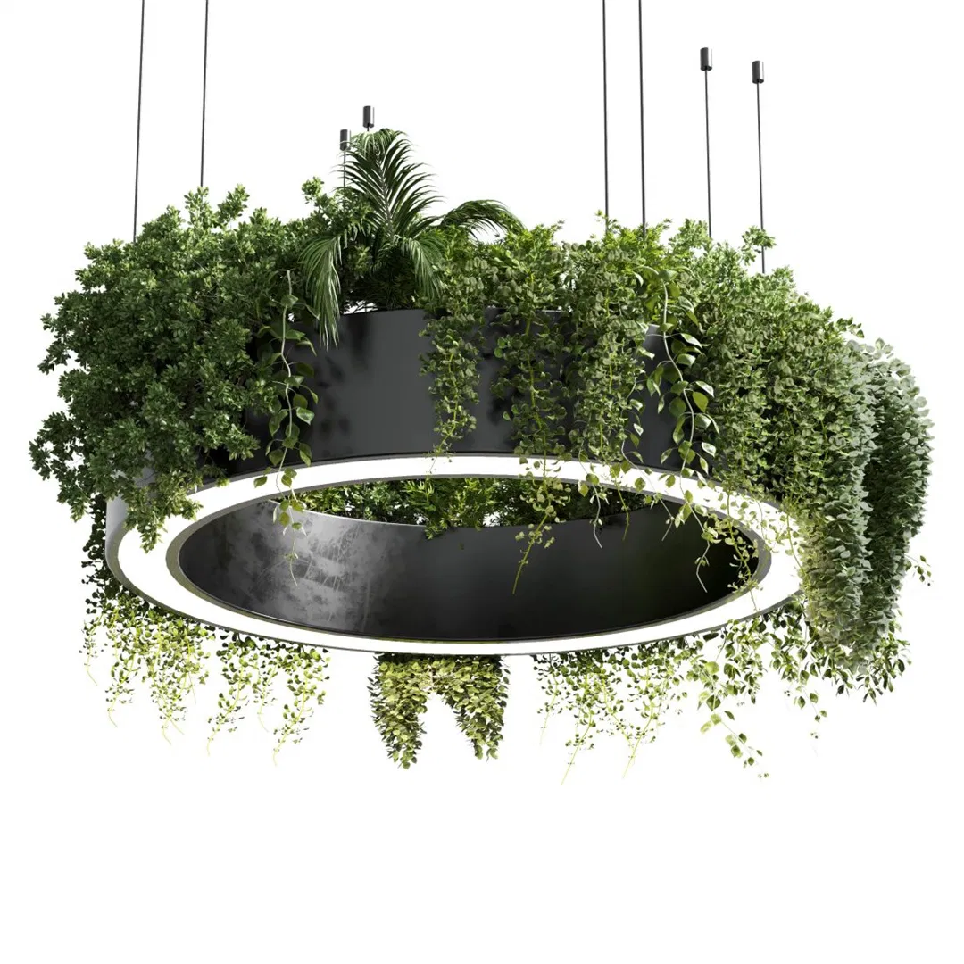 Pendant Lamp LED Rings Circle Ceiling Hanging Chandelier Black Living Dining Room Kitchen Indoor Lighting Fixture with Green Plants