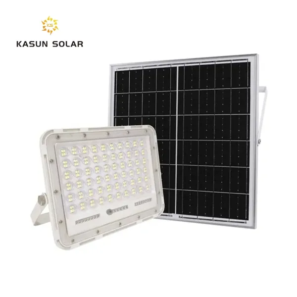 100W Solar Light
