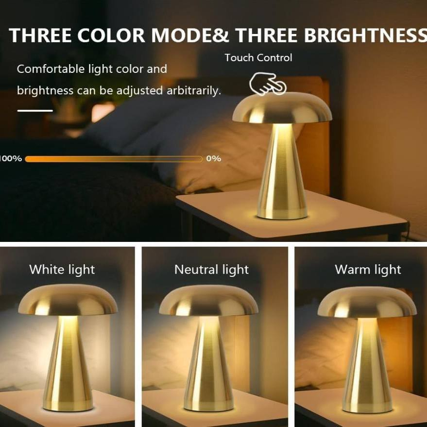 Touch Control Lamp, Metal LED Table Lamp