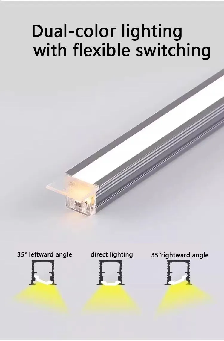 Profile Light Detail