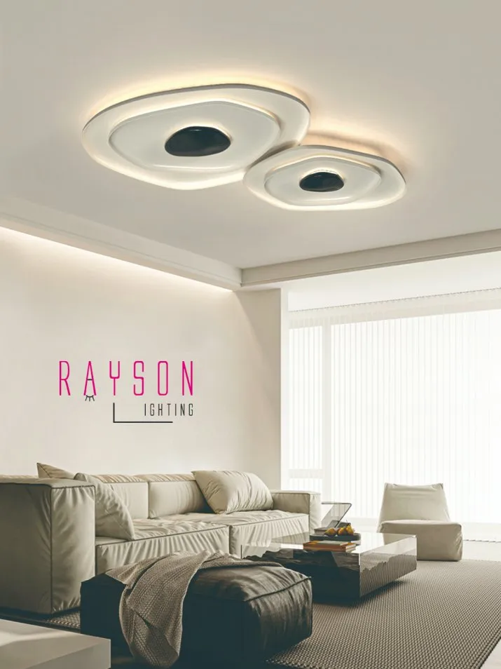 Modern LED Ceiling Light 1