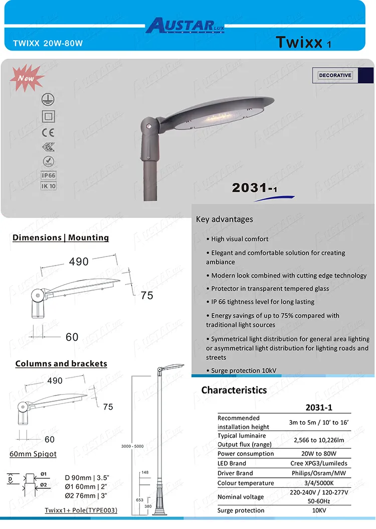 LED Area Lighting Twixx Outdoor Luminaria 6