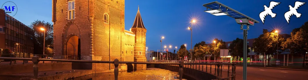 Solar Street Light Overview