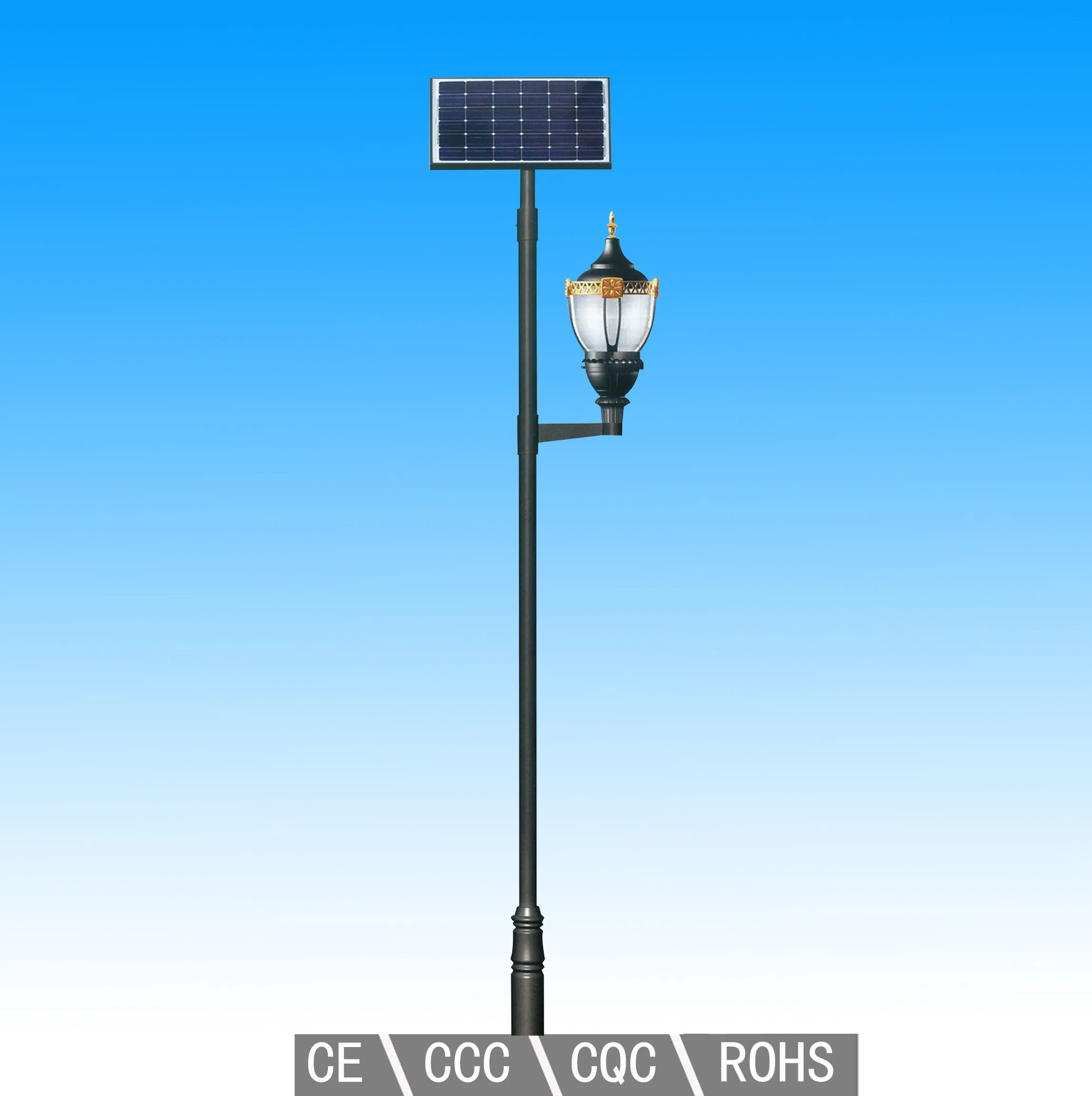30W 50W 80W 100W Garden Pathway Highway Public Area Lighting LED Street Road Lamp Light with Pole