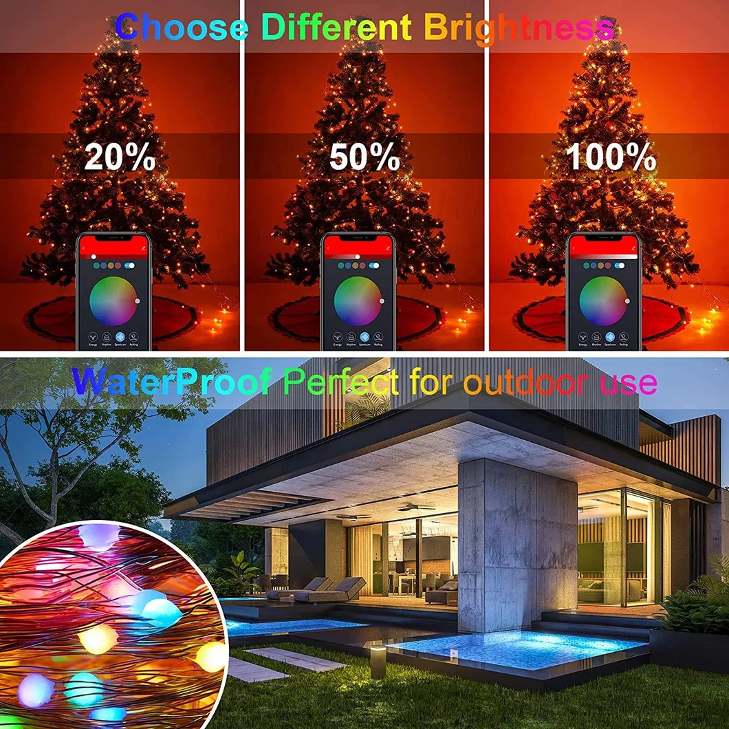 Smart LED String Light 1