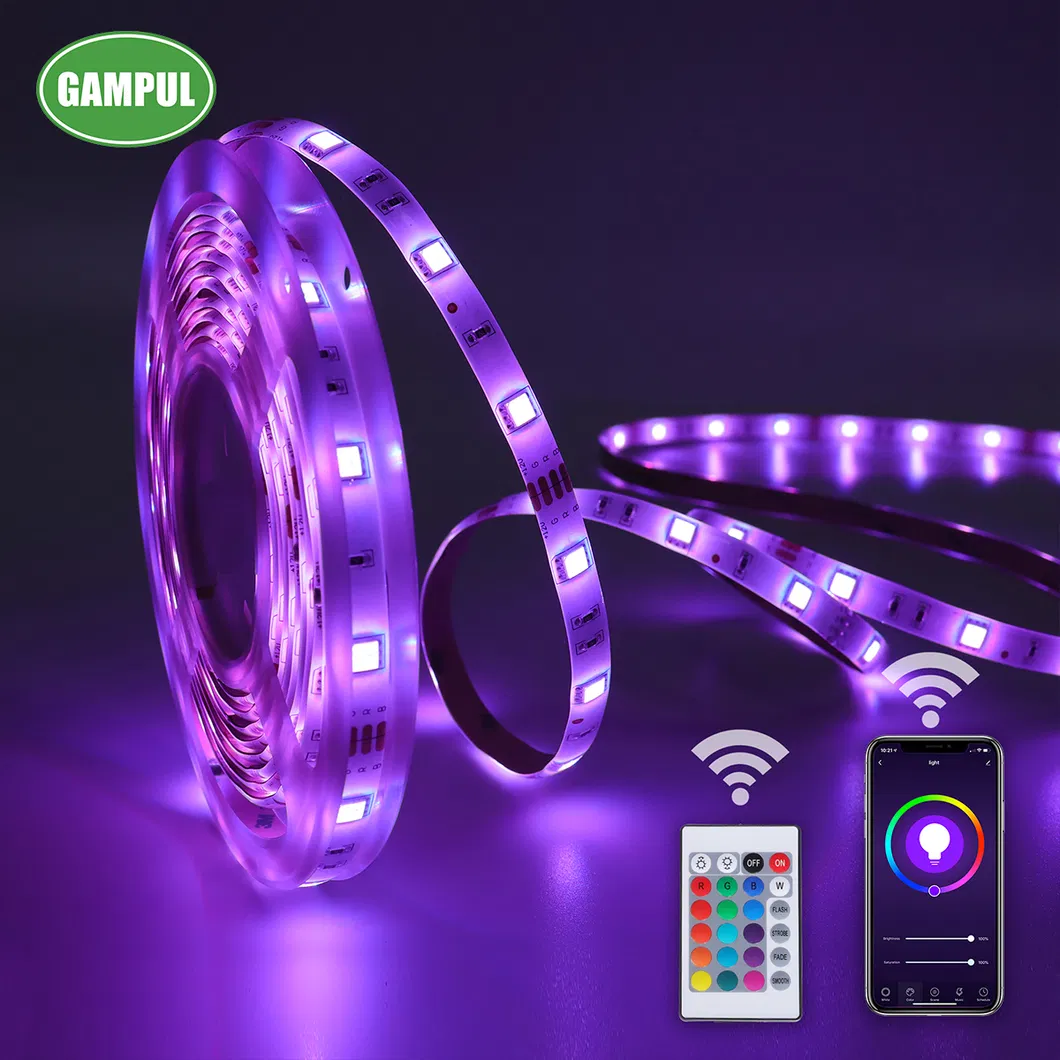 LED Strip Light 2