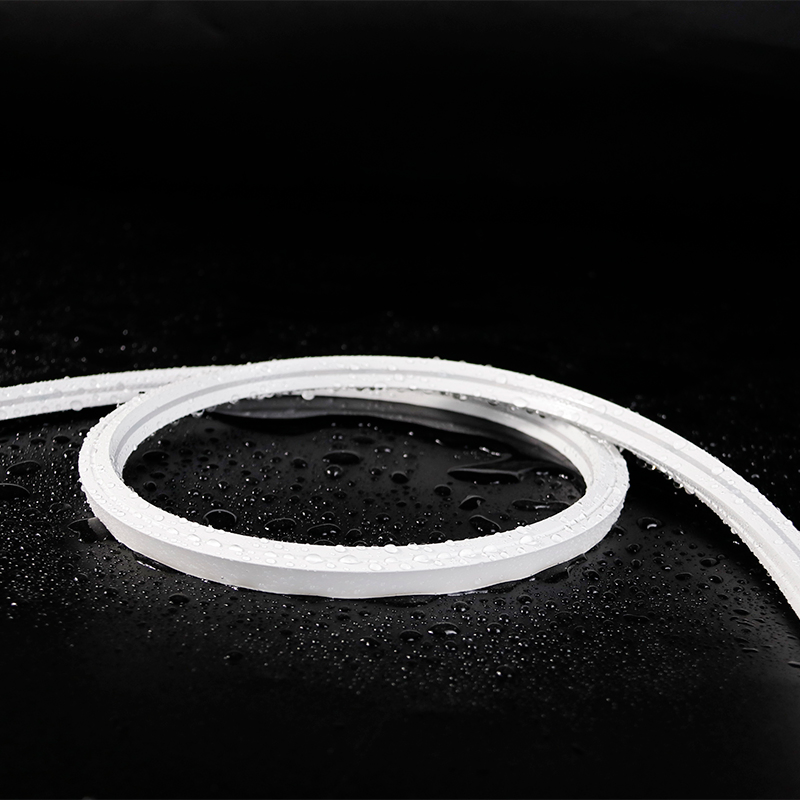 24V Outdoor IP65 Waterproof 10*10mm Silicon Flexible Tube Landscape Decoration Lighting Wall Panel Park Party LED Neon Strip Light