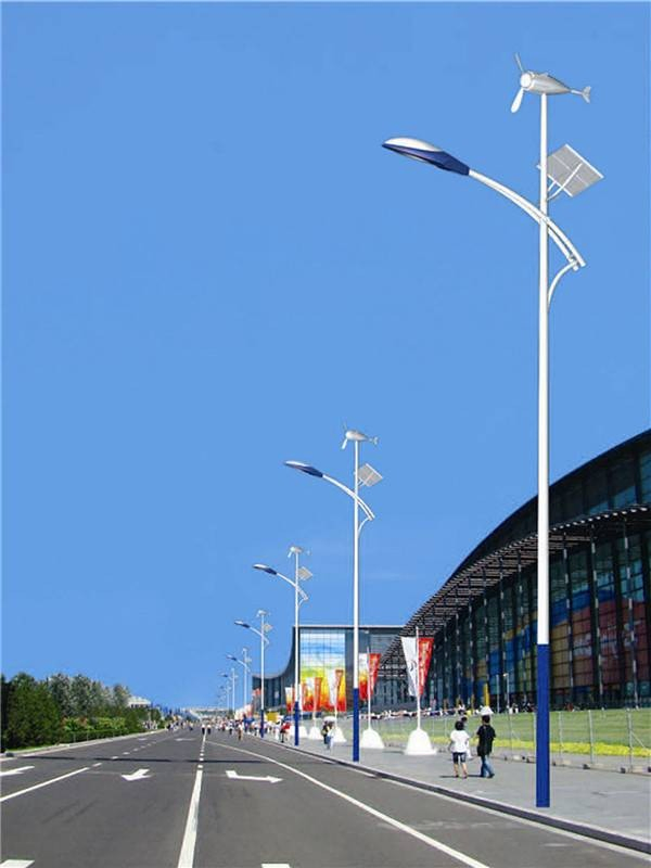 30W 50W 80W 100W Garden Pathway Highway Public Area Lighting LED Street Road Lamp Light with Pole