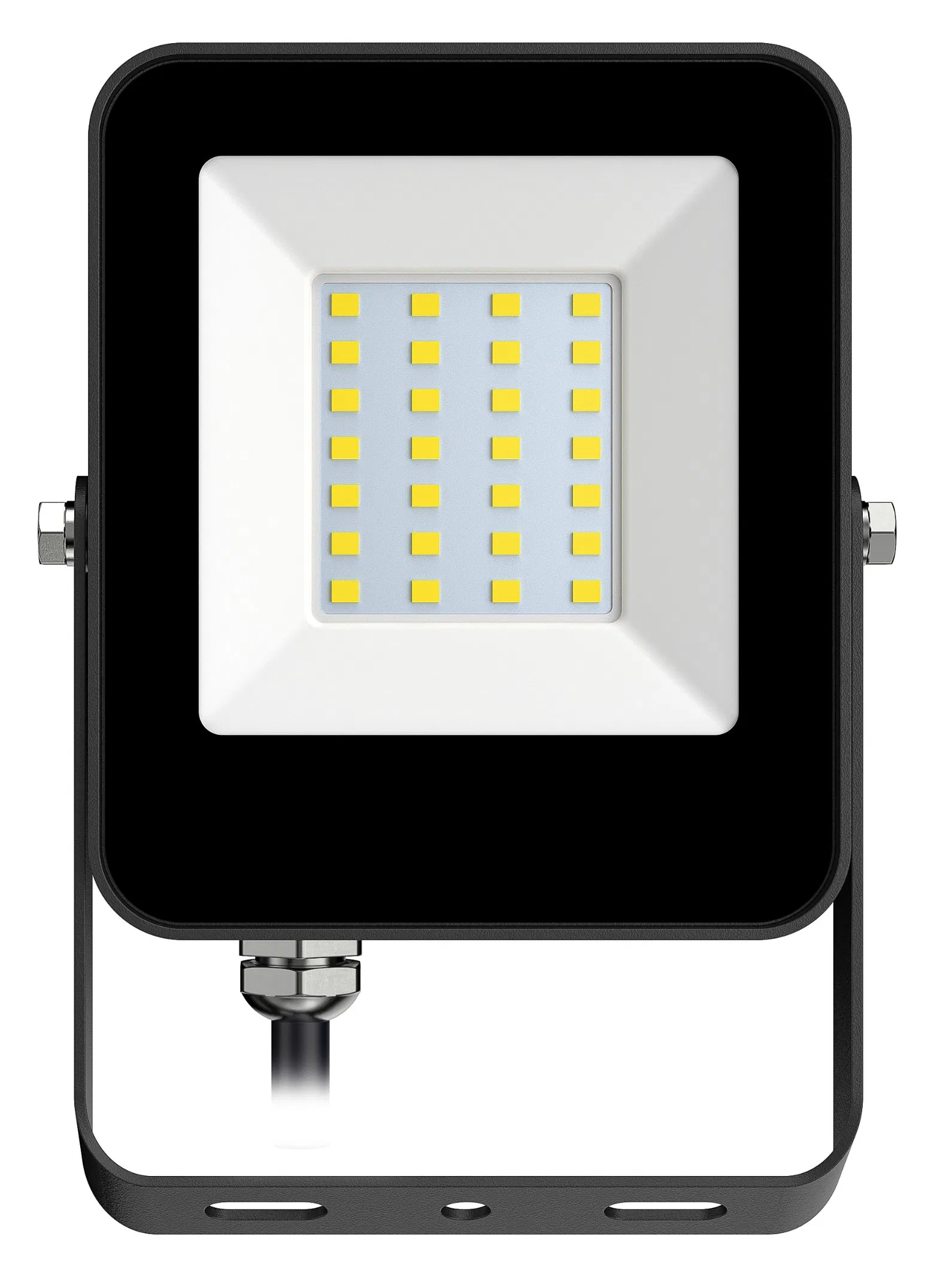 Smart Outdoor Sensor Light 30W Motion Sensor Security Light with Optional Remote for Garden Park Doorway