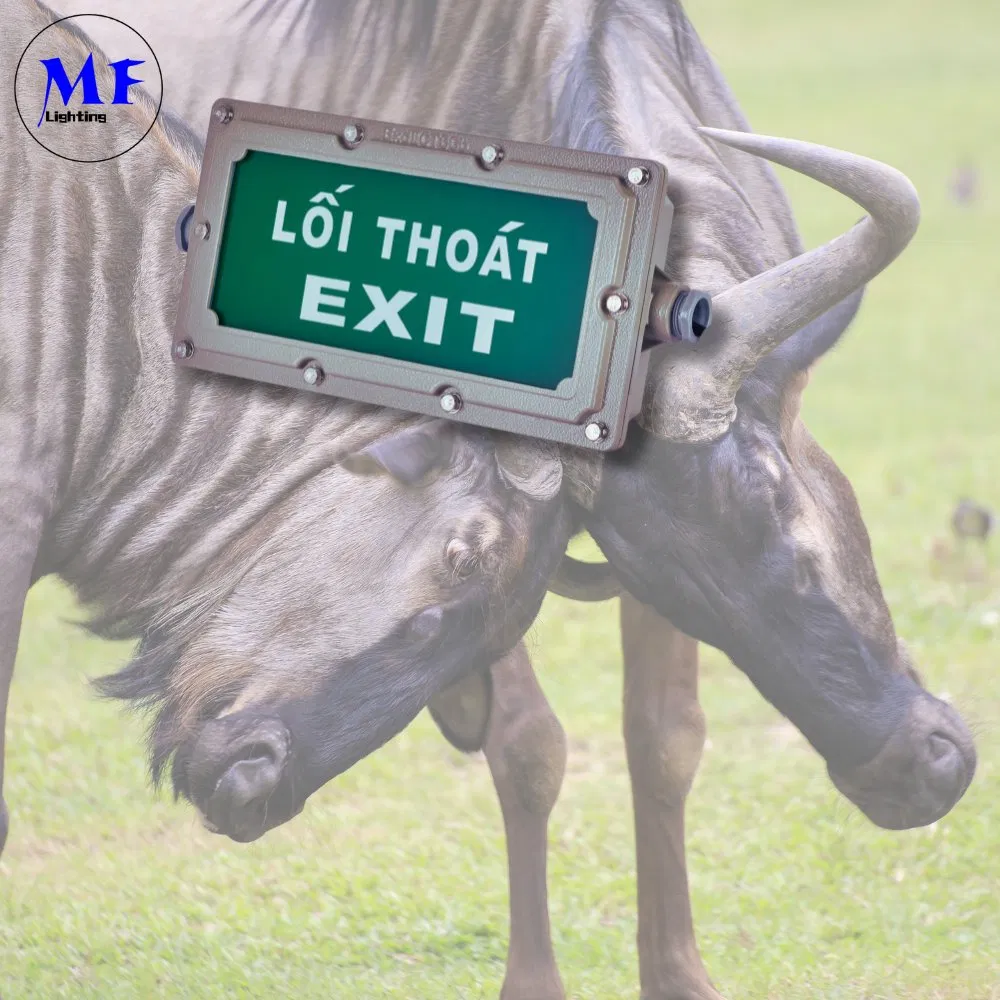 5years Warranty IP65 Waterproof Fireproof Ex ATEX Iecex 4W 3hours Green Explosion Proof LED Emergency Exit Light for Chemical Plant Processing Industrial Park