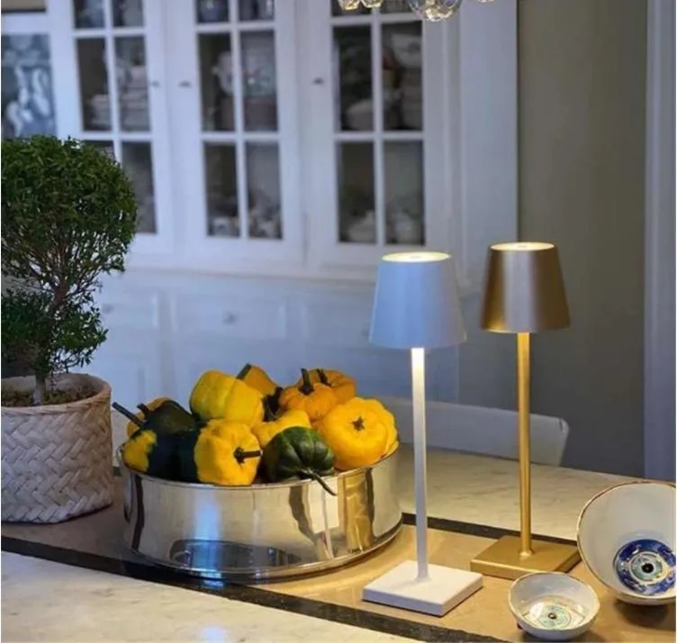 Decorative Rechargeable Lamp