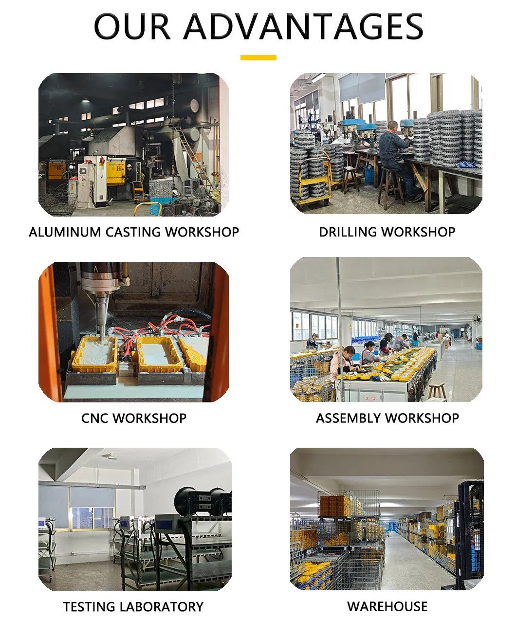 Advantages Infographic