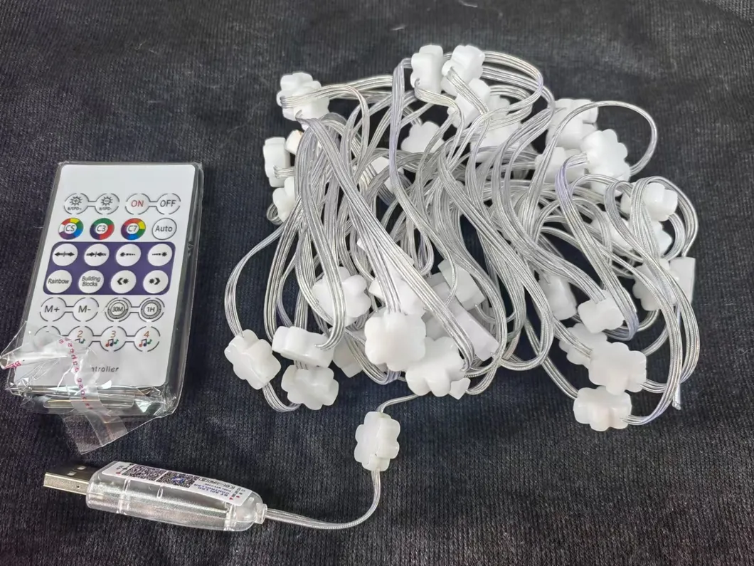 LED Light String Detail