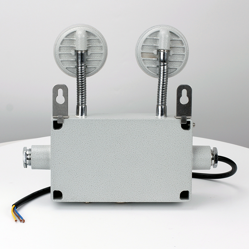 Explosion Proof IP54 Adjustable Double Heads Wall Mounted Rechargeable LED Exit Light Wenzhou Explosion Proof Emergency Lamp