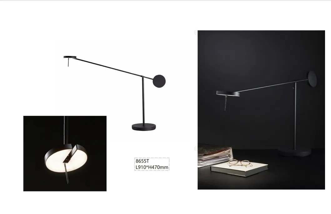 Modern LED Desk Lamp