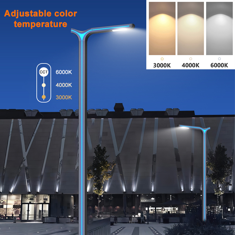 Die-Casting Aluminum LED Pole Top Lights Outdoor 100W Street Garden Post Light for Yards