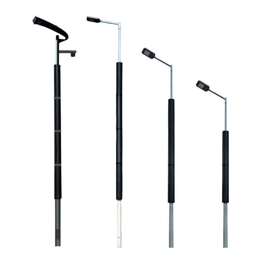 30W Anti-Dust LED Solar Pole Street Light with Vertical Solar Tube Maintenance Free for Middle East