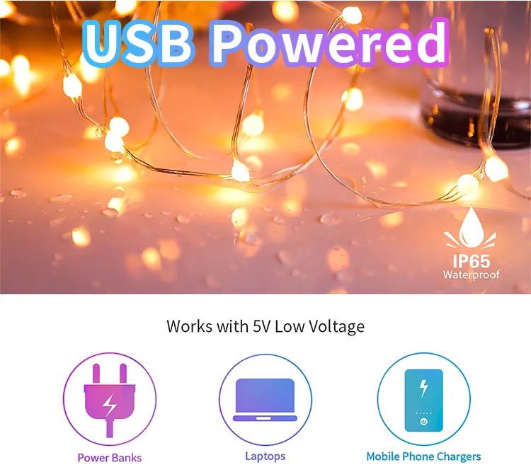 Smart LED String Light 3