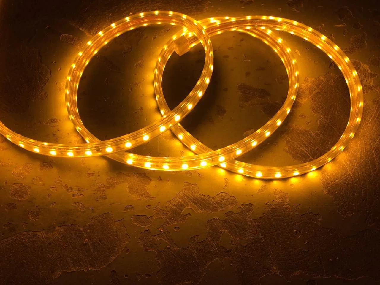 High Voltage Outdoor LED Strip Light with 220V /127V