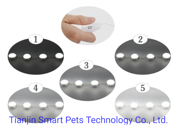 Vanity Lights Hollywood Style LED Mirror Light 10 Dimmable Bulbs Makeup Light