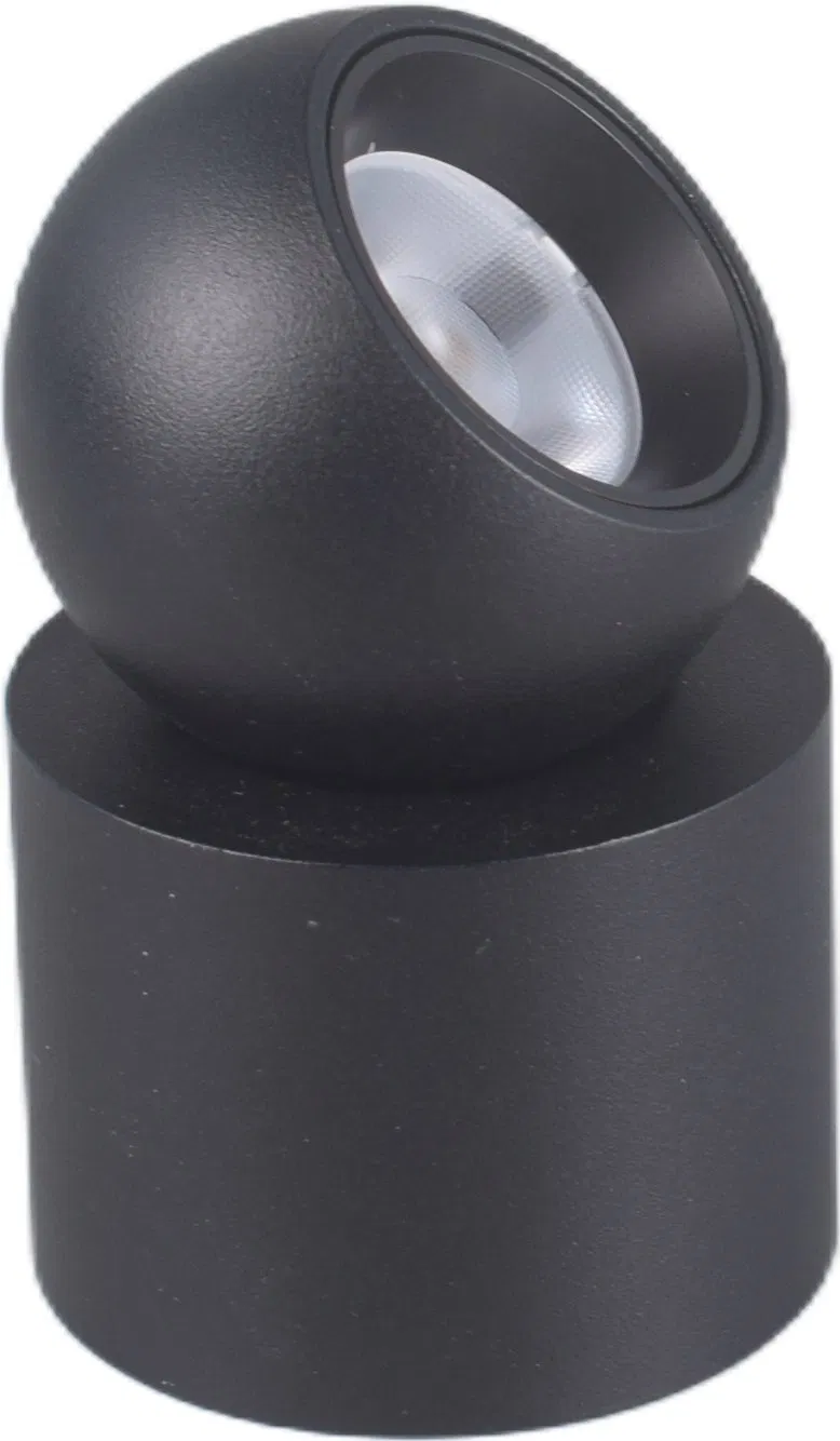 Modern Adjustable Dimmable COB LED Ceiling Light Fixture for Home