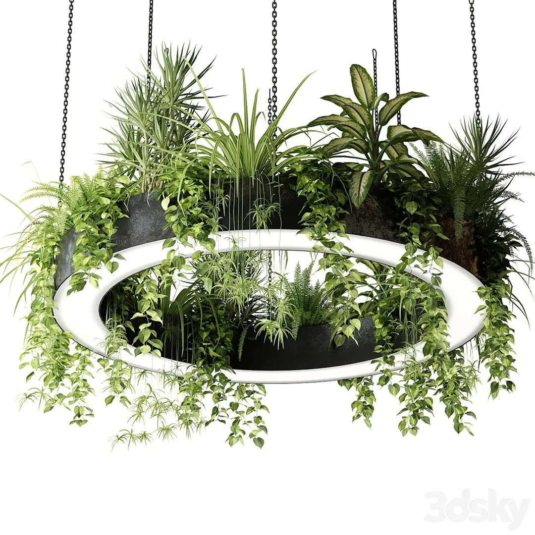 Pendant Lamp LED Rings Circle Ceiling Hanging Chandelier Black Living Dining Room Kitchen Indoor Lighting Fixture with Green Plants