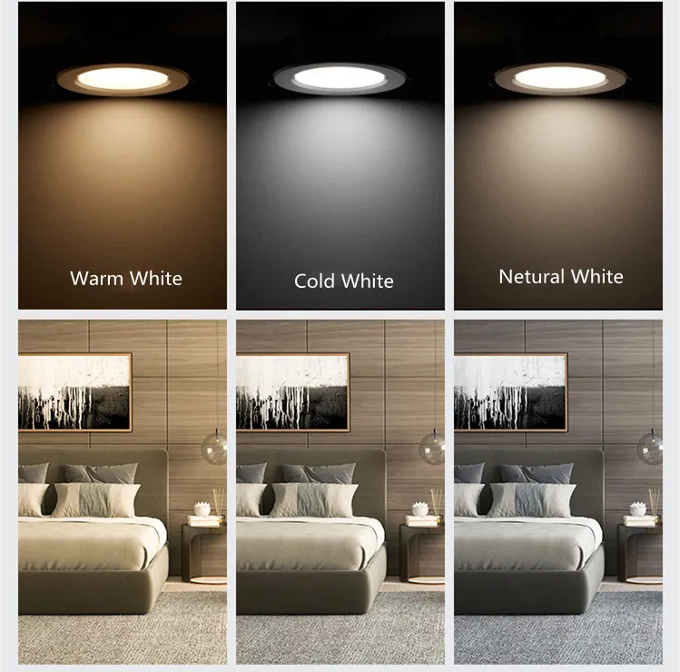 LED Downlight Detail