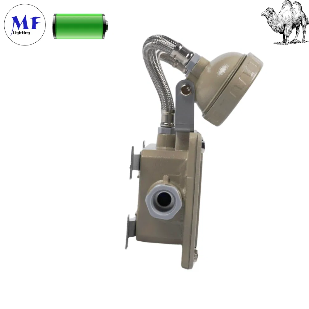 ATEX Explosionproof Indoor Outdoor Waterproof IP65 IP66 5W 10W 110lm/W 24h 3h Rechargeable LED Emergency Light for Factory School Workshop Hotel Warehouse