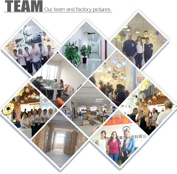 Our Professional Team