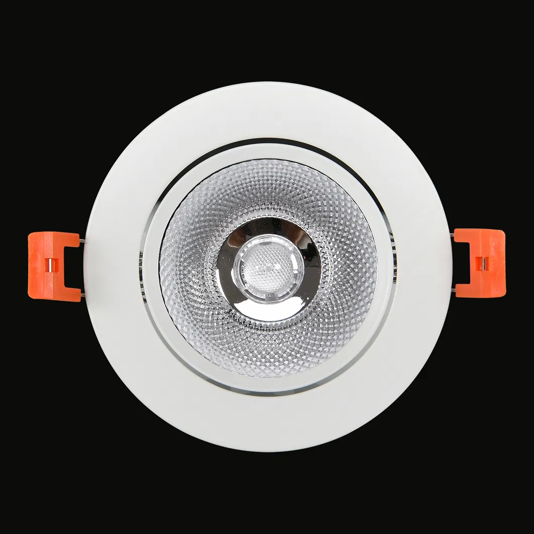 LED Downlight 2
