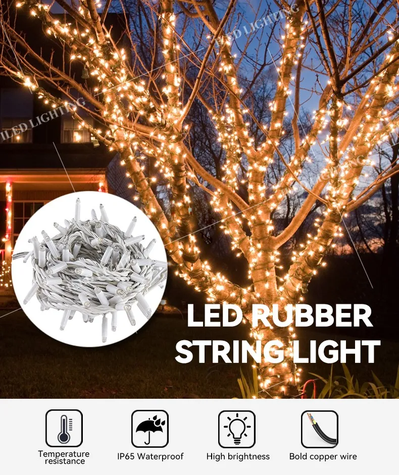 LED String Light Details