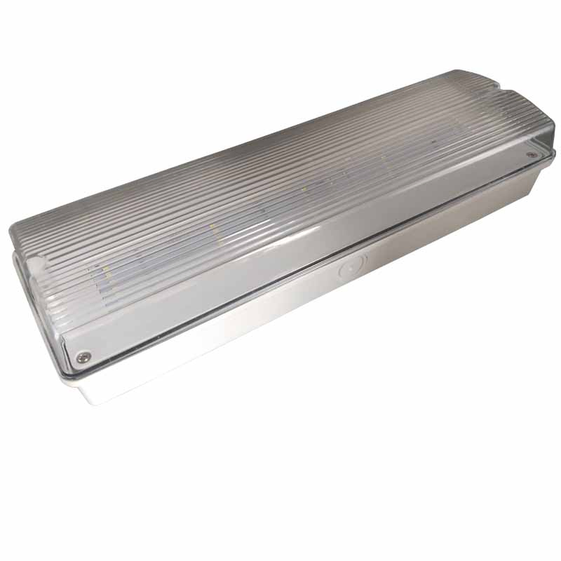 Exquisite Body IP65 Emergency LED Light with High-End Quality for Promotion