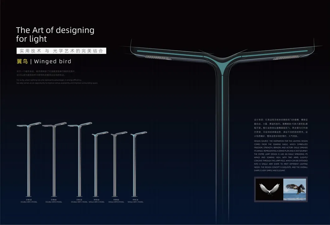 Outdoor Lighting Installation