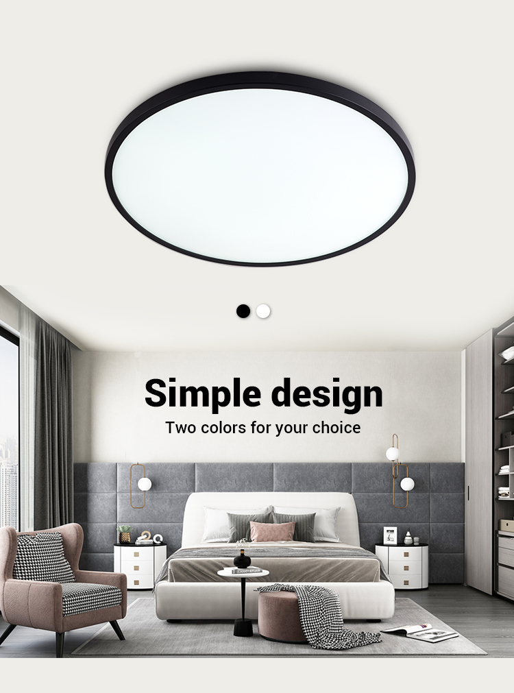 LED Ceiling Light View