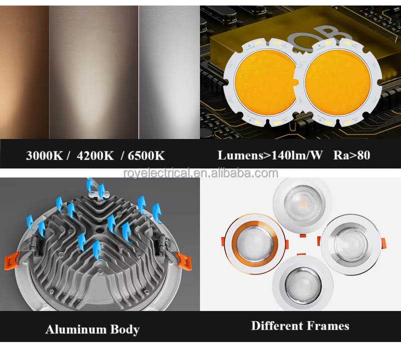 LED Downlight View 7