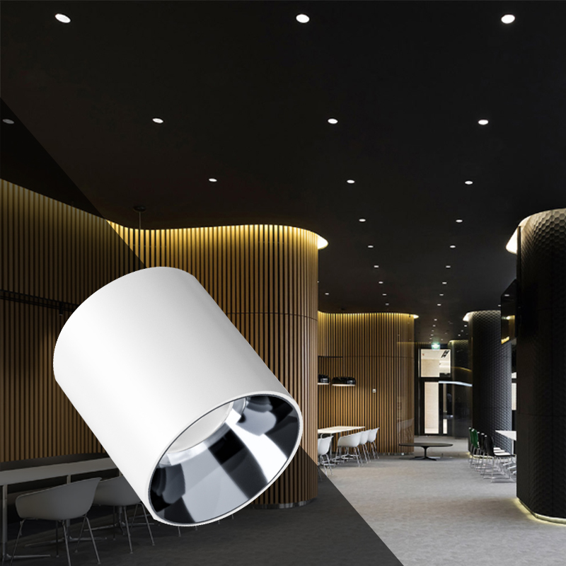 Modern 10W Power LED Downlight Home Office Living Room Indoor Aluminum Waterproof IP65 Adjustable Cob Chip Surface Mounted