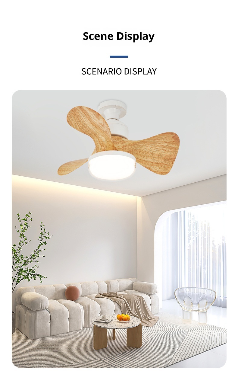 Ceiling Fan Light Details