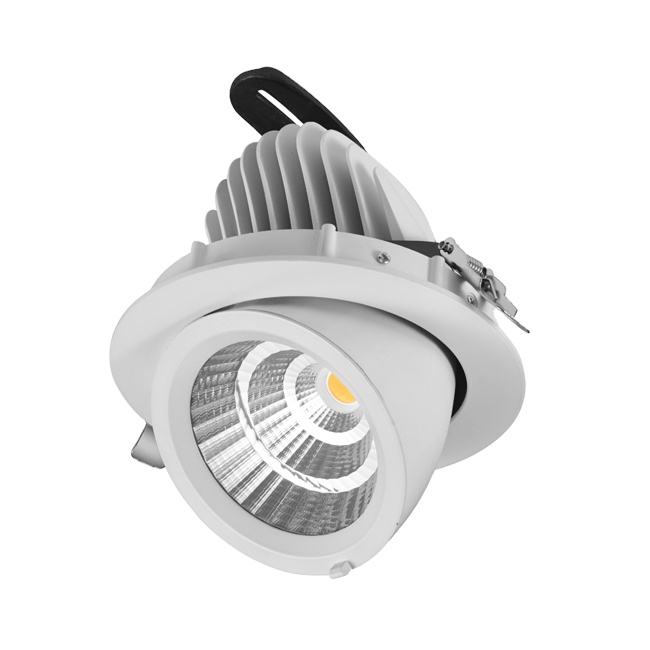 Store Lighting 40W Fresh Meat Spot Lights Adjustable Gimbal Downlight COB LED Down Light With Pink Color