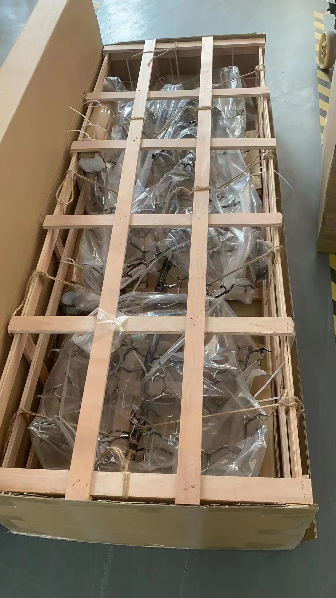Shipping Image