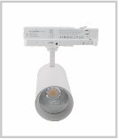 Hot Sale LED Downlight Model 1