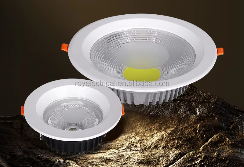 LED Downlight View 10