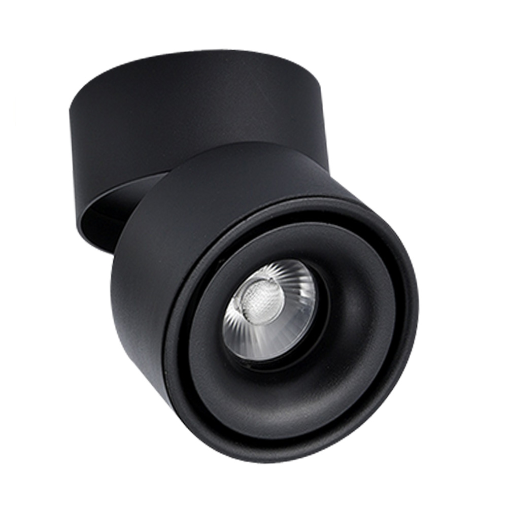 12W LED Downlight up and Down Adjustable Surface Mounted Down Light