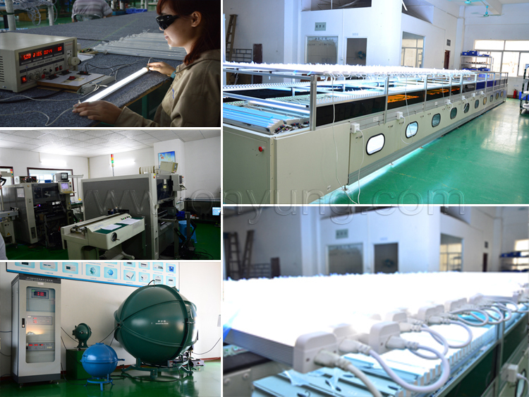 Quality Control Process