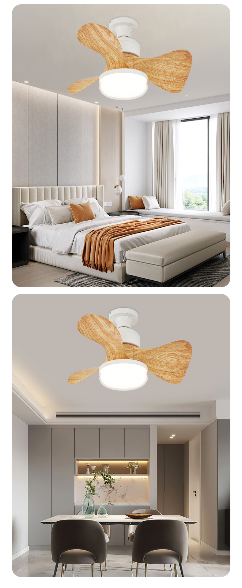 Ceiling Fan Light Details