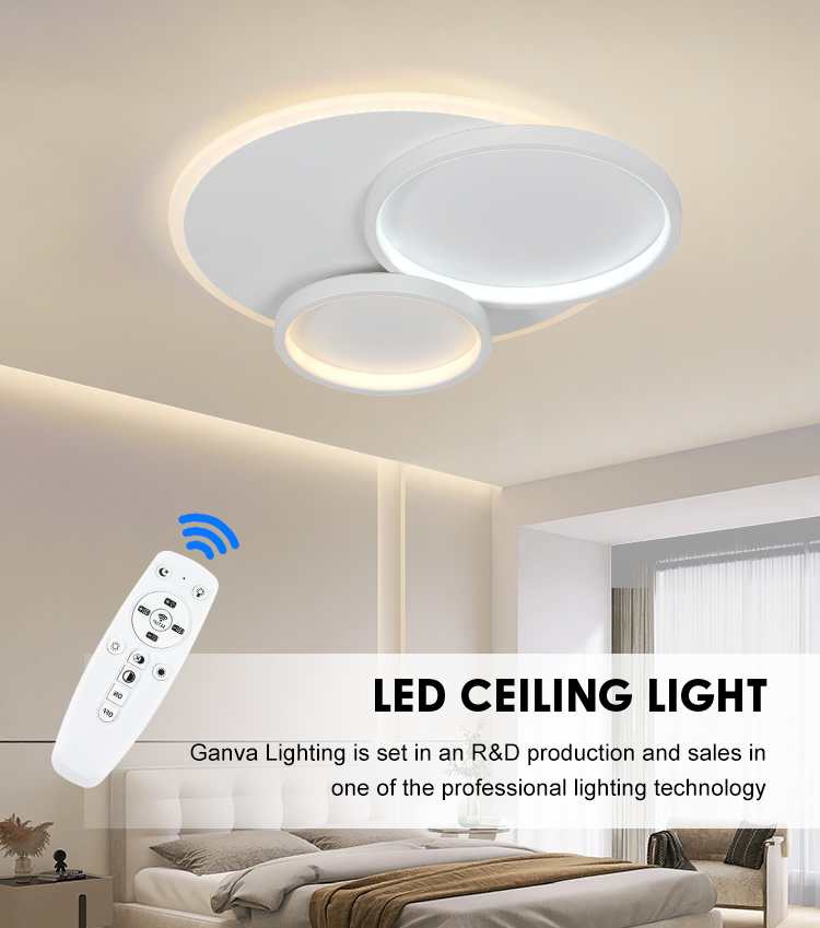 Modern LED Ceiling Light Details 1