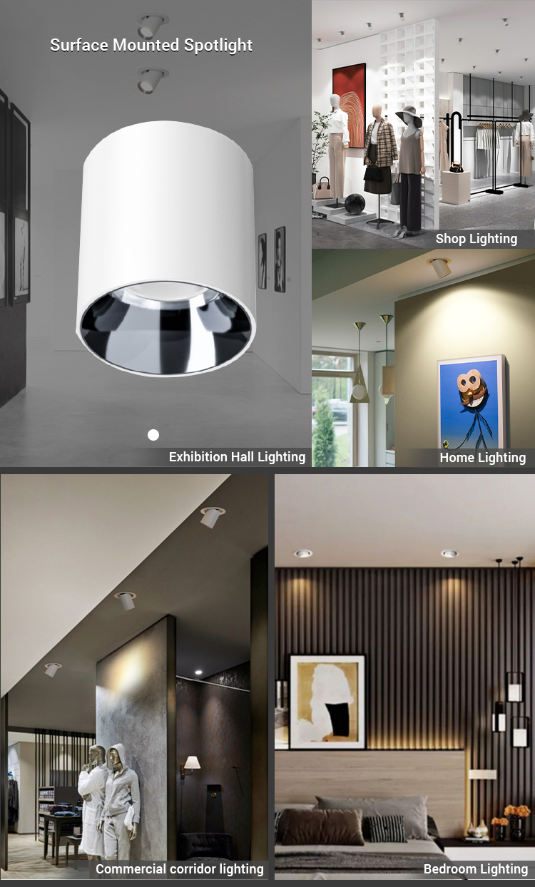 Surface Mounted Downlight Showcase 3